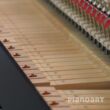 Yamaha P 121 SH2 Gebraucht Ansicht Silentsystem