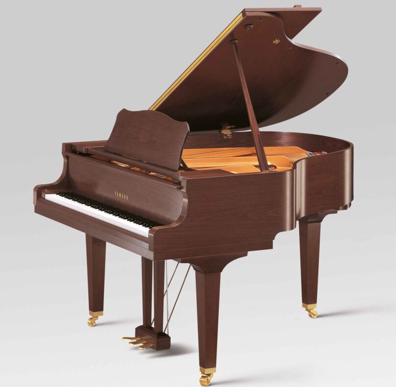 Flügel Yamaha GC1 SAW in Nuss