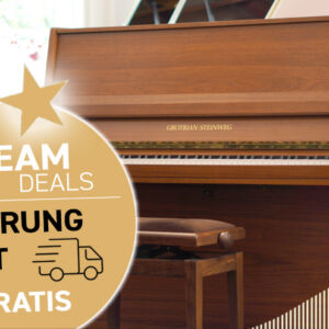 Gebrauchtes Klavier kaufen in Aktion