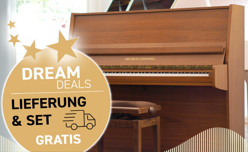 Gebrauchtes Klavier kaufen in Aktion