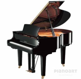 YAMAHA C1X