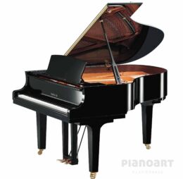YAMAHA C2X