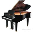Yamaha C3X Flügel