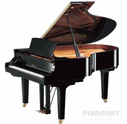 YAMAHA C3X SH3