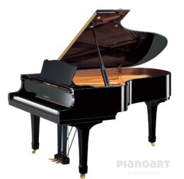 YAMAHA C5X