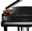 Yamaha CX Fluegel Front