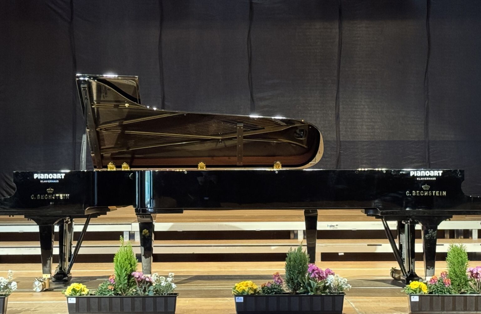 c-bechstein-concert-d-282-fluegel