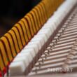 Fänger Grand Piano Yamaha C5X
