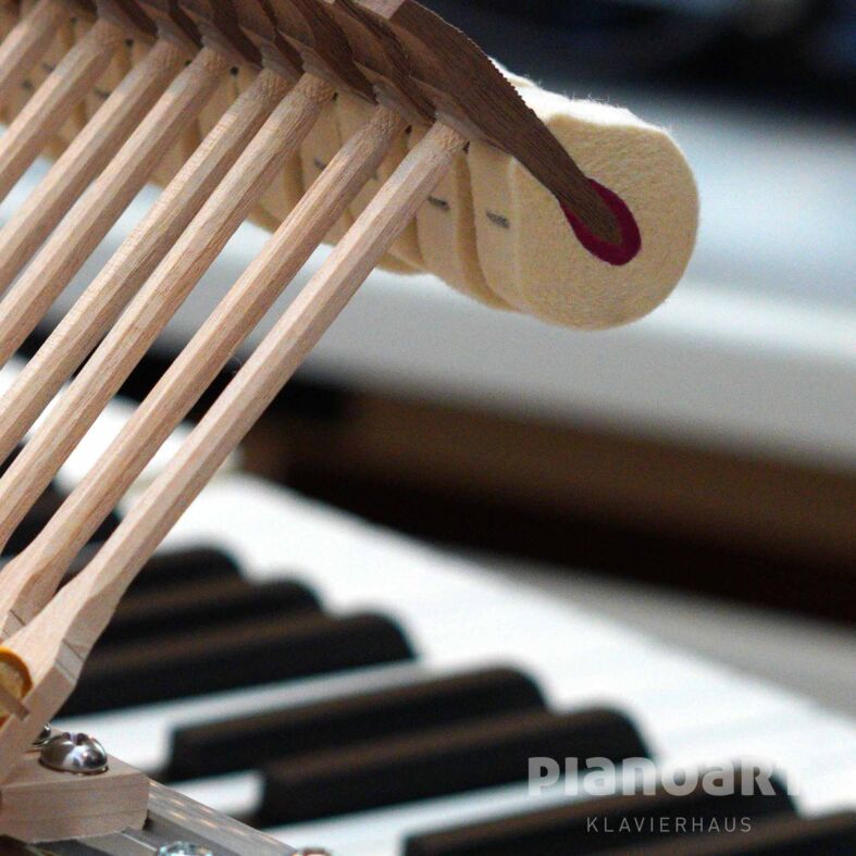 Hammerköpfe des Yamaha C5X Flügels
