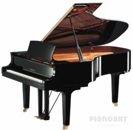 YAMAHA C6X