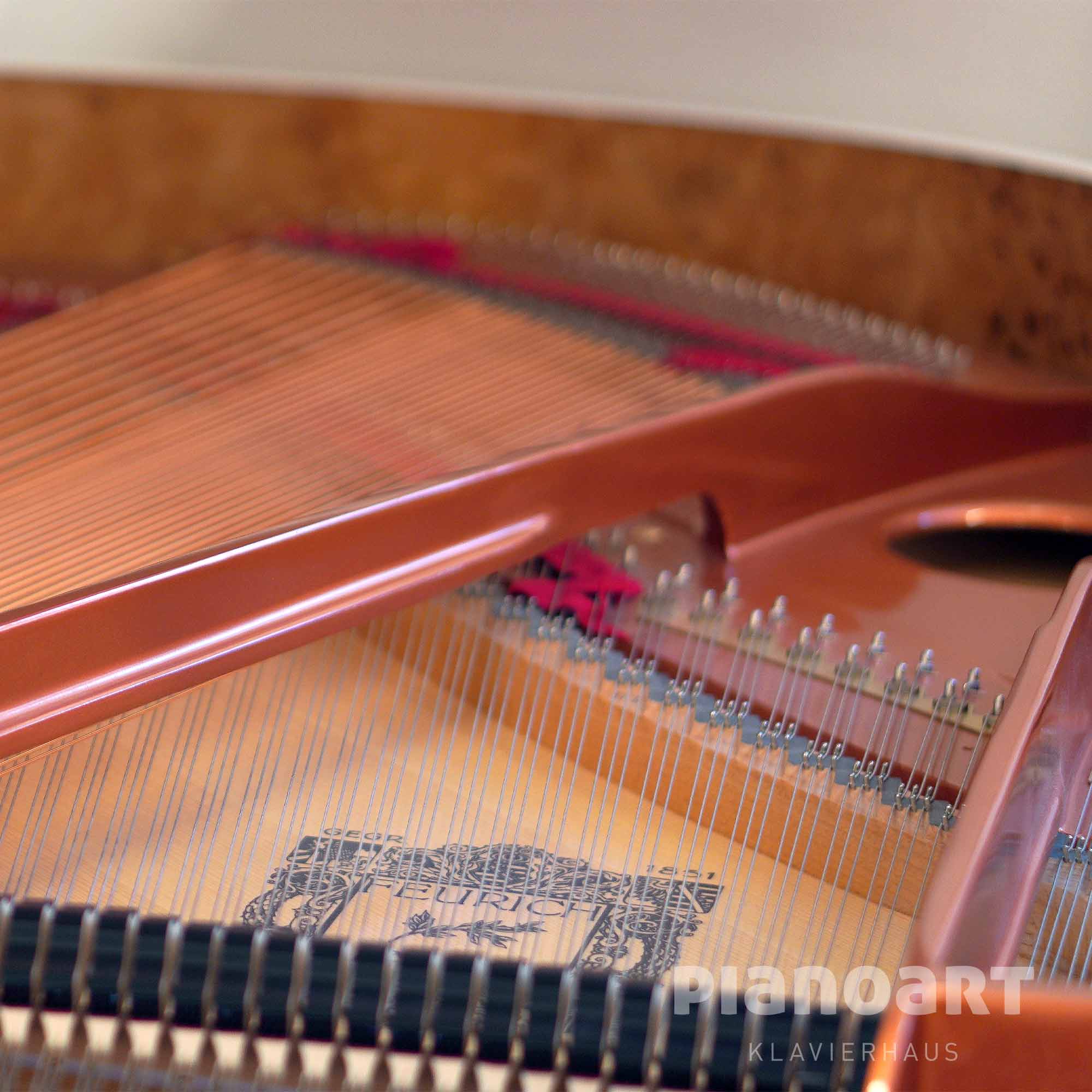 Feurich Dynamik 2 Fluegel Offen