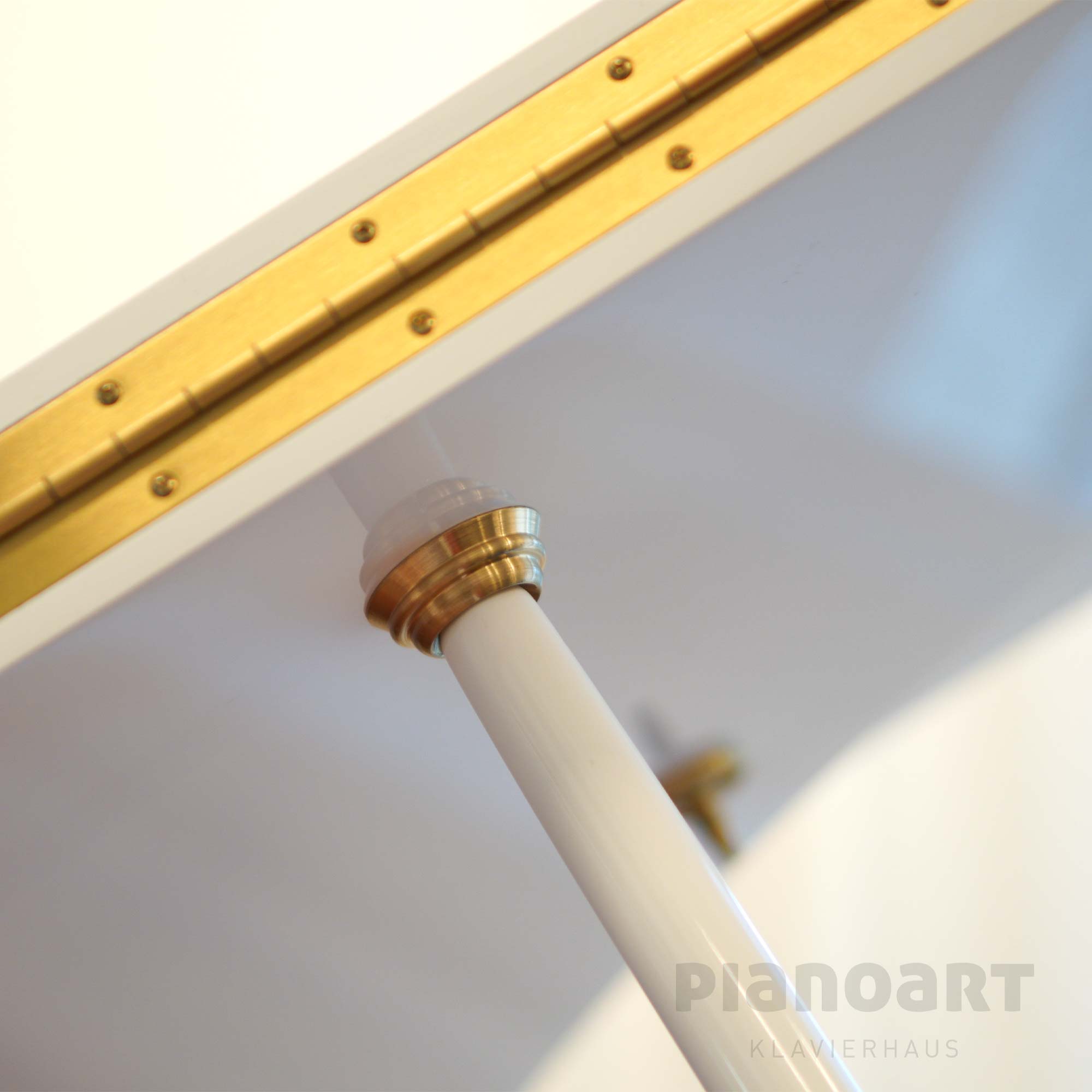 Feurich Dynamik 2 Fluegel