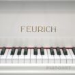 Feurich Dynamik Flügel weiß