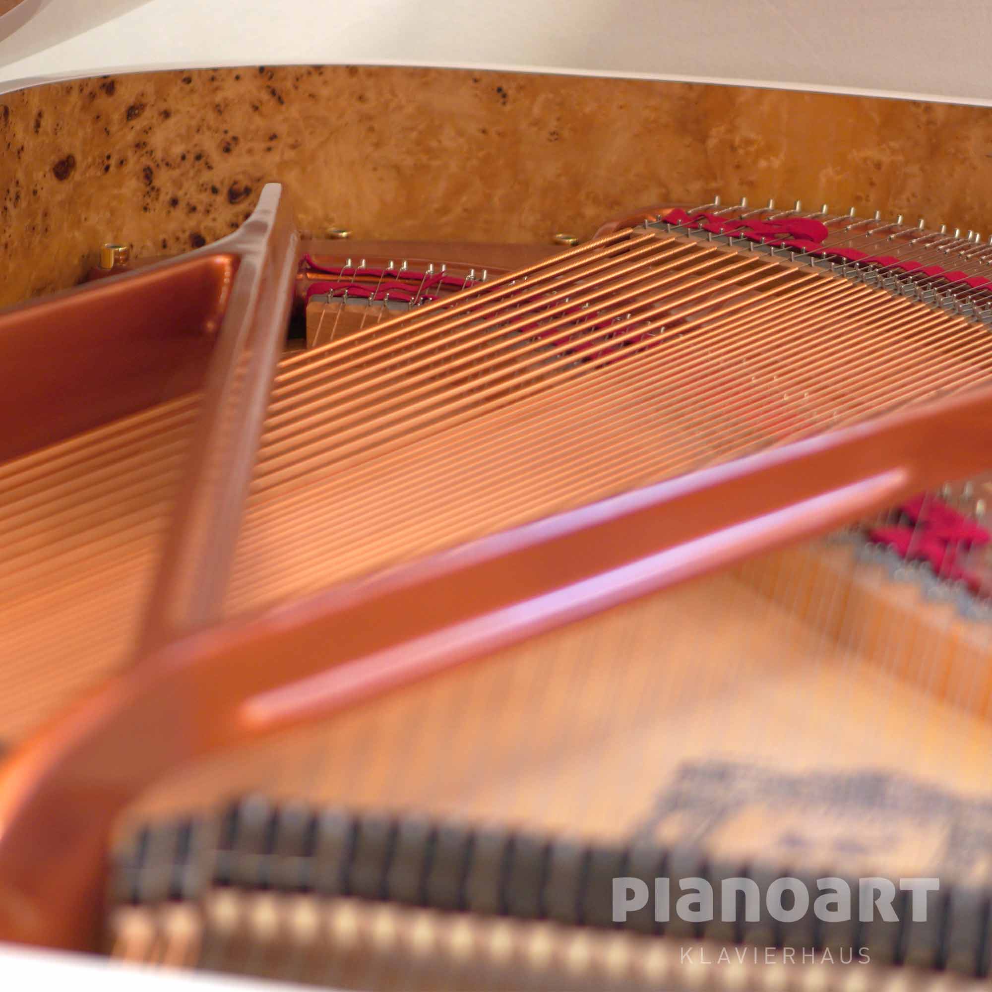 Feurich Fluegel Dynami Concert