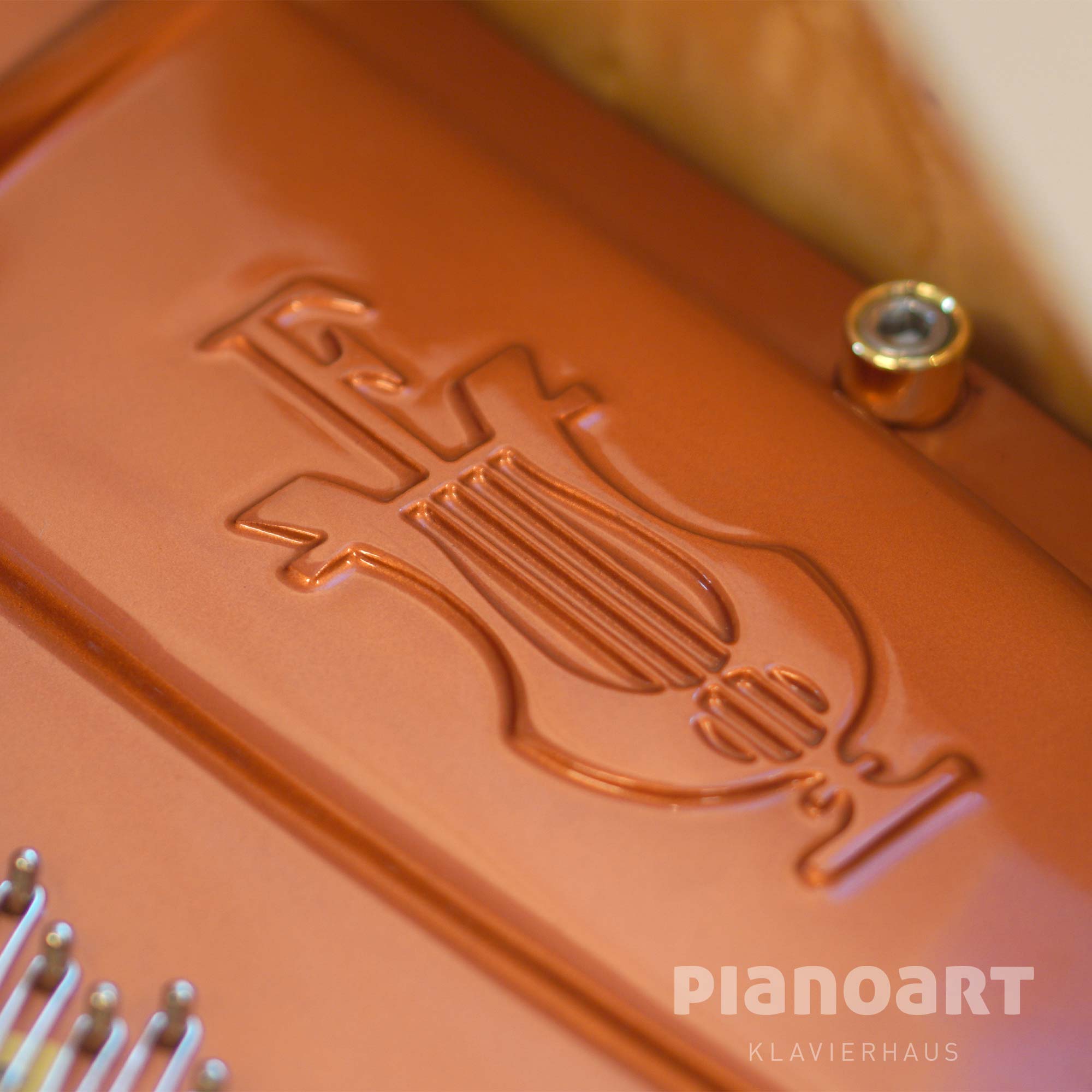 Gusseisen Platte im Feurich Flügel