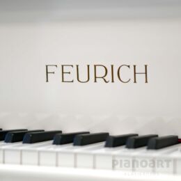 Graffiti Flügel Neu – FEURICH Dynamik I