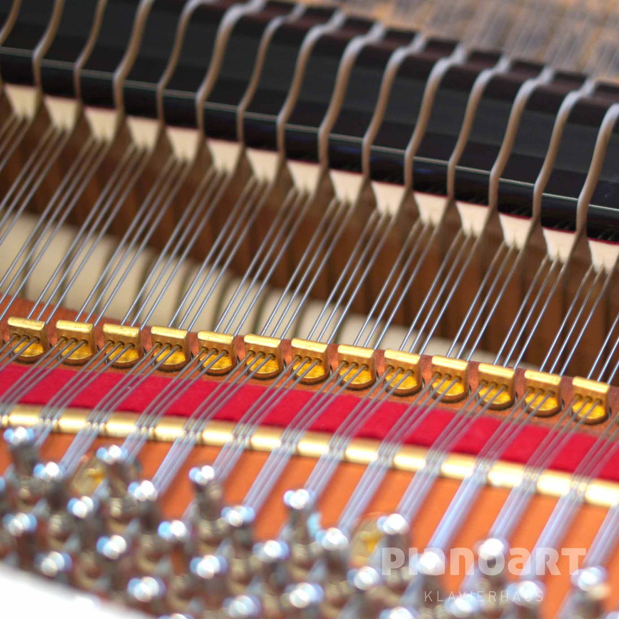 Saiten eines Feurich Flügels