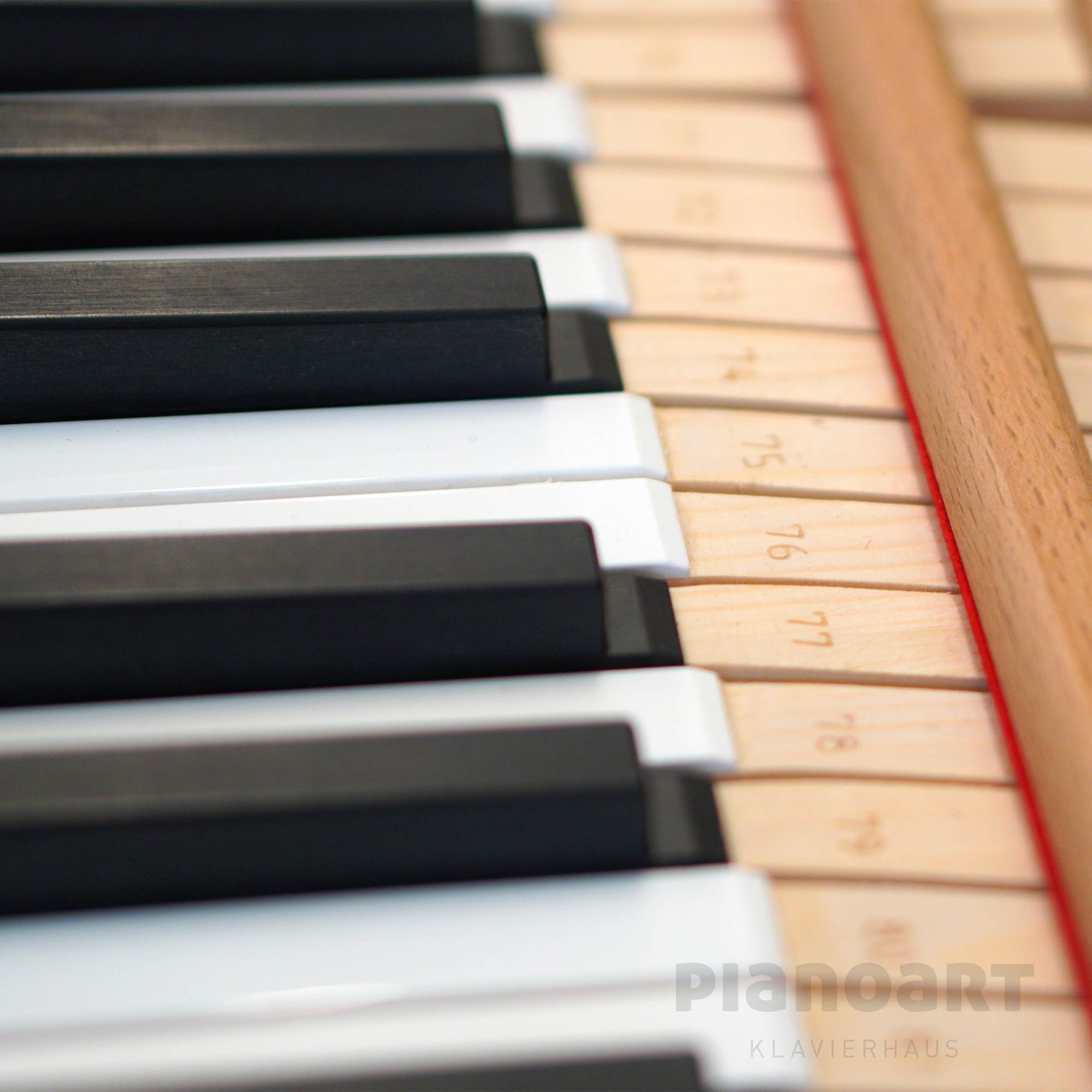 Tasten von Feurich Flügel Modell 179 Dynamik