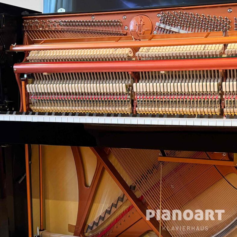 Gebrauchtes Silent Klavier Feurich 115 Akustische Anlage