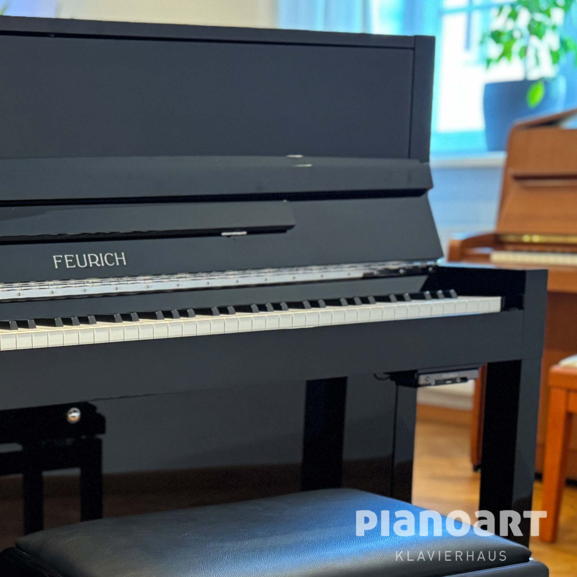 Gebrauchtes Silent Klavier Feurich Premiere