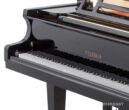 Feurich 162 Dynamic I Fluegel Tasten