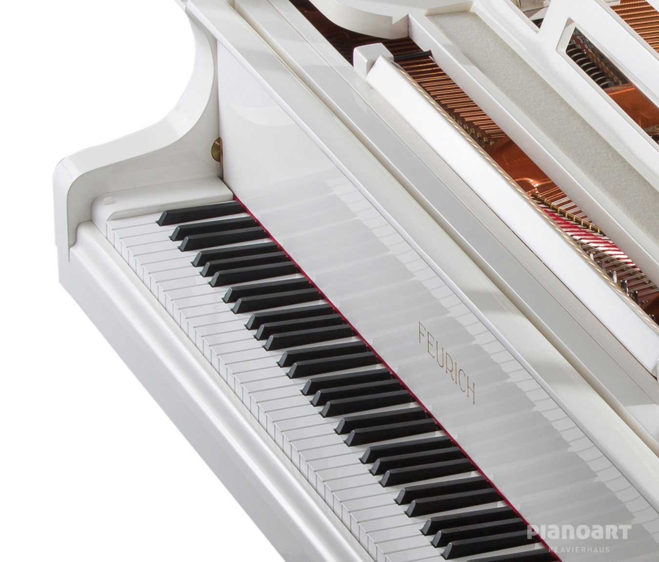 Feurich 179 Dynamic II Fluegel Tasten