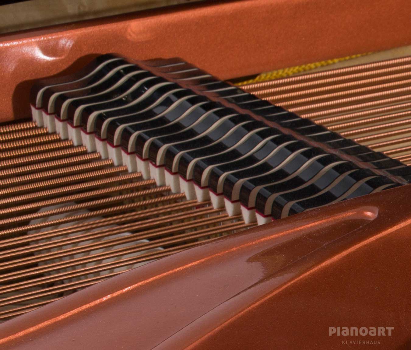 Feurich 218 Concert I Fluegel Daempfung Saiten