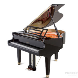 Feurich Flügel 162 Dynamik I Gebraucht