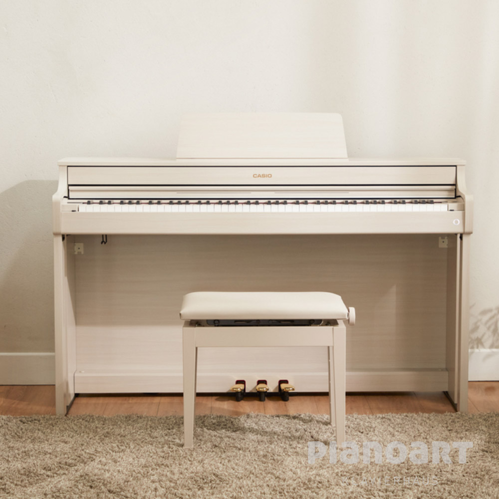 Casio AP-300 GB Sset