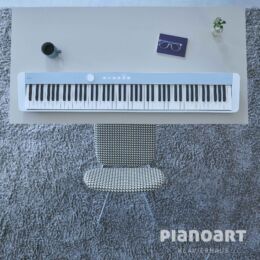 CASIO PRIVIA PX-S1100