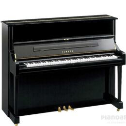 YAMAHA U1