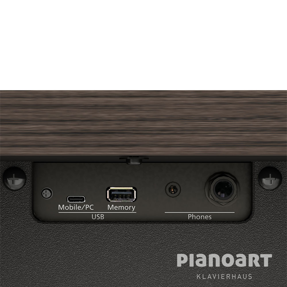 Digitalpiano Roland Kiyola KF-25 Anschluesse