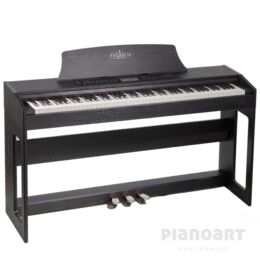 Feurich Olya evo Bk in Schwarz