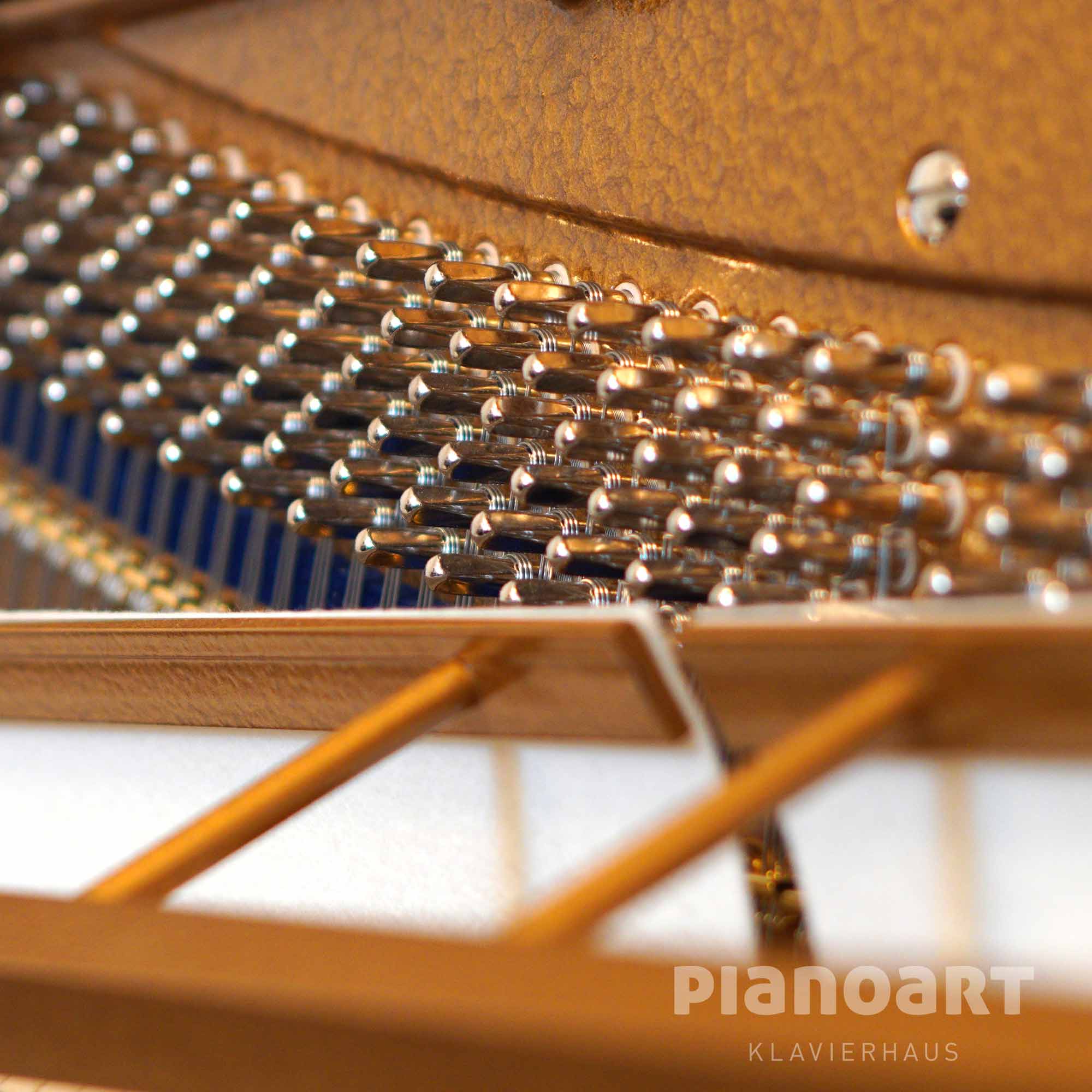 Stimmwirbel Bechstein Classic