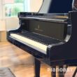 Steinway Sons A-188 Detail