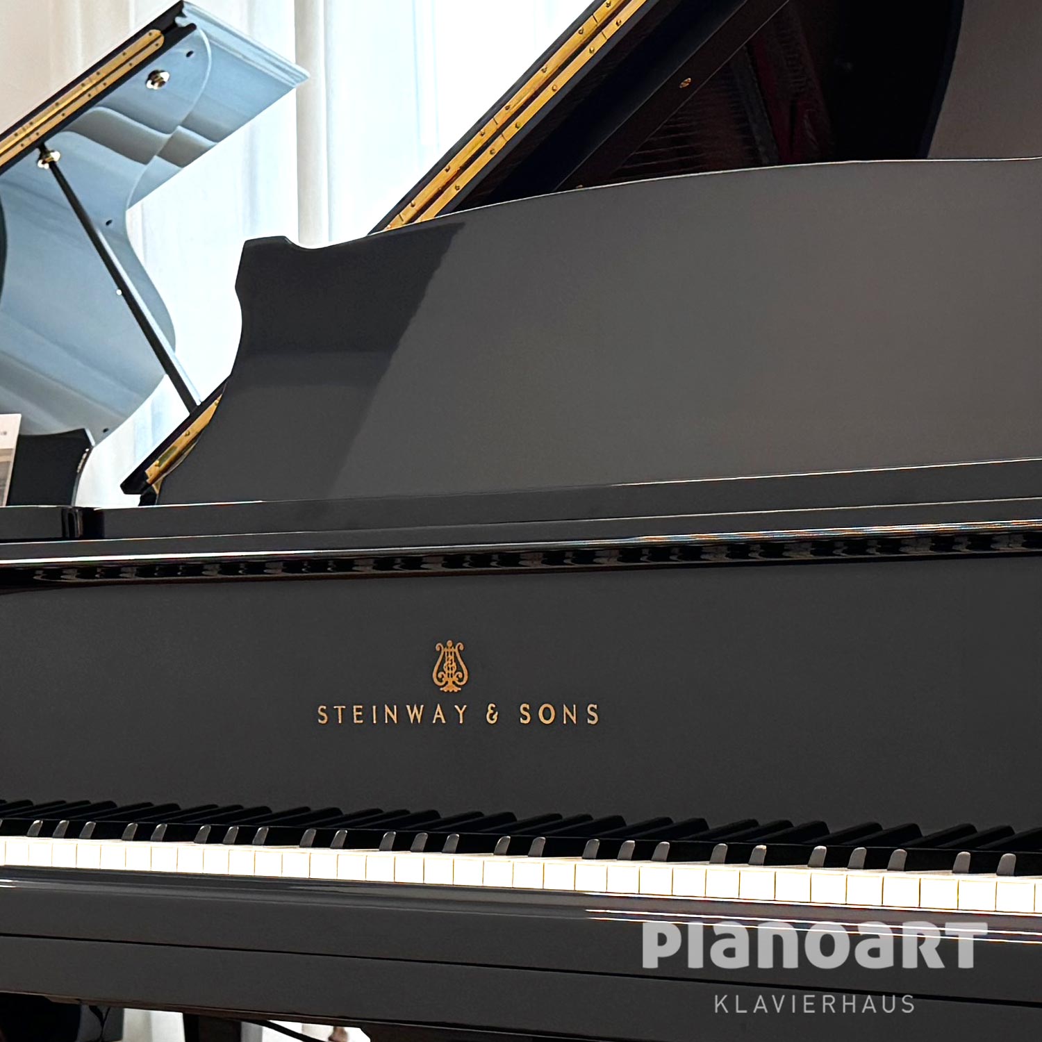 Steinway Sons A-188 Logo Tasten