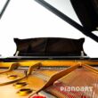 Steinway Sons A-188 Saiten