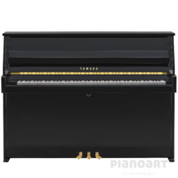 YAMAHA B10 PE