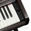 Tasten Yamaha Arius YDP-146 R