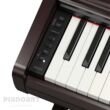 Tasten Yamaha Arius YDP-146 R