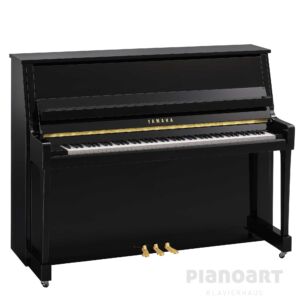 Yamaha B20 PE in Schwarz poliert