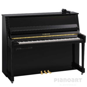 Yamaha B20 SC3 PE in Schwarz und Messing