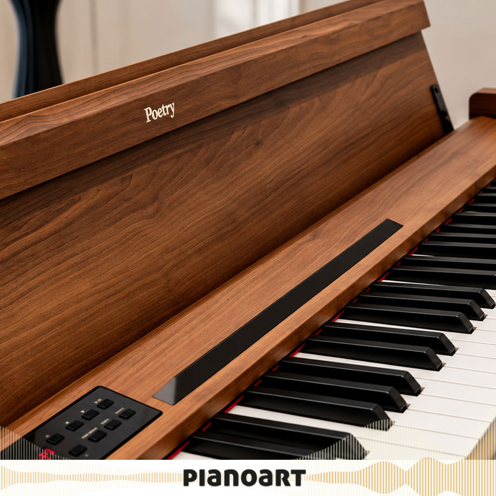 Korg Poetry Playel Chopin Sounds
